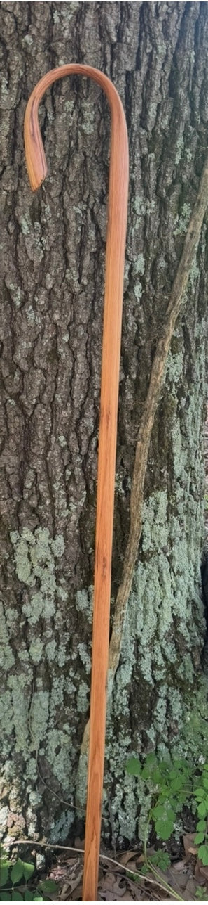 Oak Shepherd's Staff 60" Length. Sometimes called a Crook or a Stockman's cane.